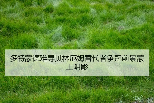 duo-te-meng-de-nan-xun-bei-lin-e-mu-ti-dai-zhe-zheng-guan-qian-jing-meng-shang-yin-ying-2-585.jpg
