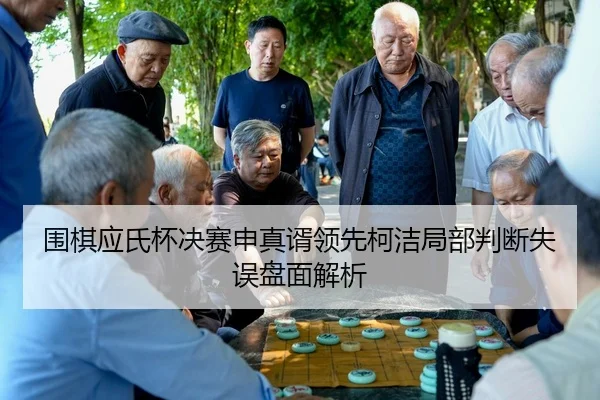 围棋应氏杯决赛申真谞领先柯洁局部判断失误盘面解析
