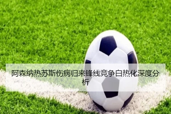 a-sen-na-re-su-si-shang-bing-gui-lai-feng-xian-jing-zheng-bai-re-hua-shen-du-fen-xi-2-432.jpg
